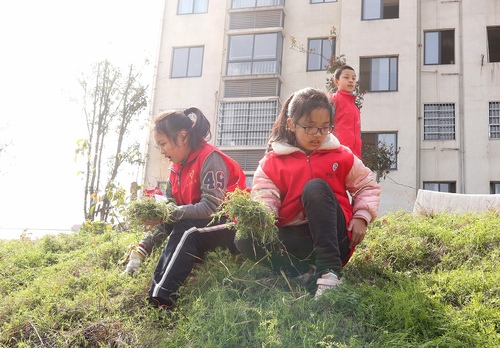 微信图片_20230305223523