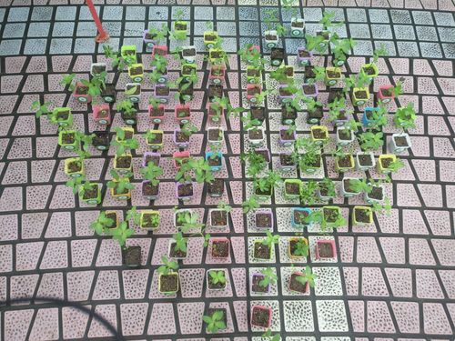 QQ图片20190415154110