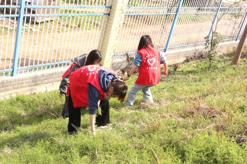 微信图片_20230305223514